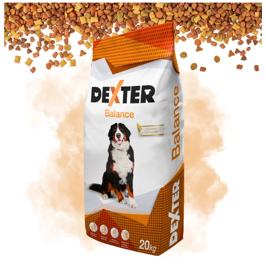 Sucha Karma Dla Psa Dexter Balance Z Witaminami Duże Rasy 20kg + Saszetka